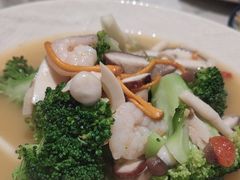 -Aqua Oasis 水天堂(太湖中心mall店)