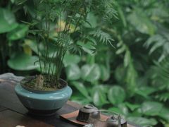 -The Flowers Coffee(南山店)
