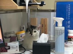 -惠康宠物医院(华能路店)