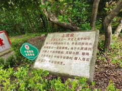 -上海佘山国家森林公园天马山园