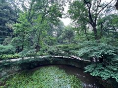 -虎跑公园