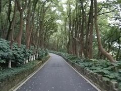 -上海市保健医疗中心(华东疗养院)