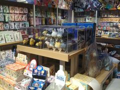 -IPSTAR潮玩星球(西单华威潮铺街店)