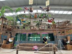 -南宫五洲植物乐园