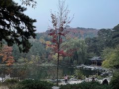 -香山公园