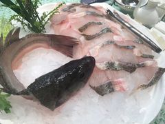 -爱丽格斯火锅(东岸国际店)