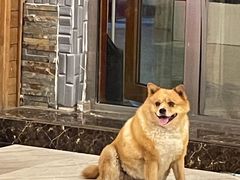 -途肴·老农饭庄(百里峡店)