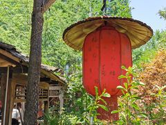 -青城甲(青城山店)