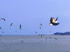 -北戴河碧螺塔海上酒吧公园