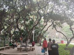 -黄埔荔枝公园