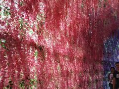 -歌斐颂巧克力小镇