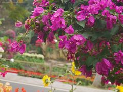 -广州市白云山风景名胜区