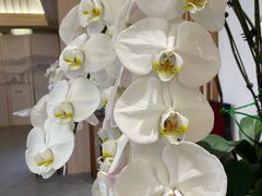 -广州神农草堂中医药博物馆