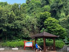-火炉山森林公园