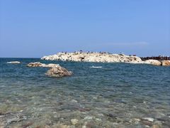 -养马岛旅游度假区