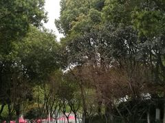-荆川公园