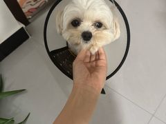 -美联众合动物医院·24h京西诊疗中心