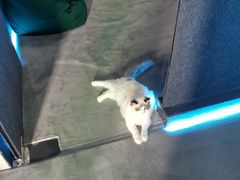 -零纪元VR体验馆·桌游(黄浦店)