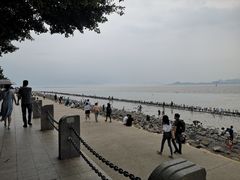 -老周记顺德双皮奶