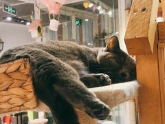 -小时光咖啡馆(开森度假森林店)
