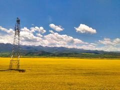 -青海湖国家重点风景名胜区