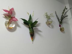 -刘文祥大碗麻辣烫(南开大学店)