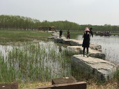 -西青郊野公园