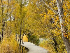 -野鸭湖国家湿地公园