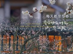 景点-西溪国家湿地公园