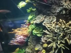 -西安曲江海洋极地公园