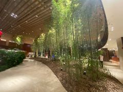 -北京望京凯悦酒店The Lounge大堂酒廊