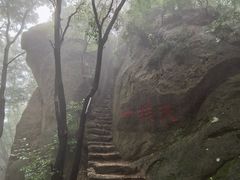 -六里坪国家森林公园