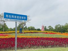 -同里国家湿地公园