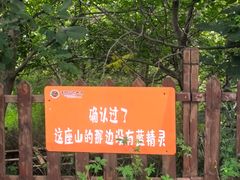 -吉姆冒险世界(蓟州店)