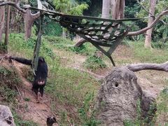 -揭东万竹园旅游景区