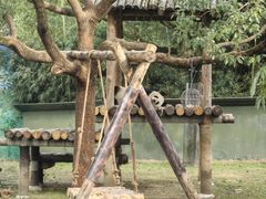 -上海野生动物园