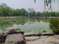 -太阳宫公园