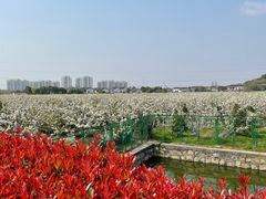 -树山生态村
