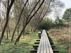 -西溪国家湿地公园