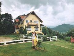 -黄色小屋