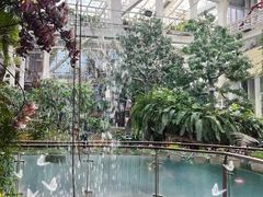 -正佳雨林生态植物园