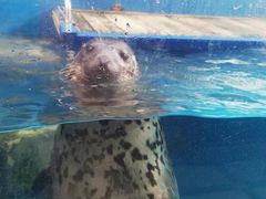 -成都浩海立方海洋公园