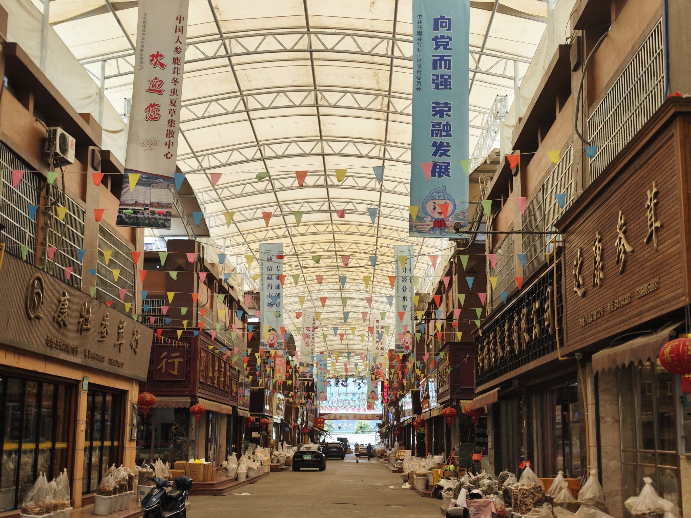 超大参茸市场