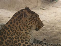 -石家庄市动物园