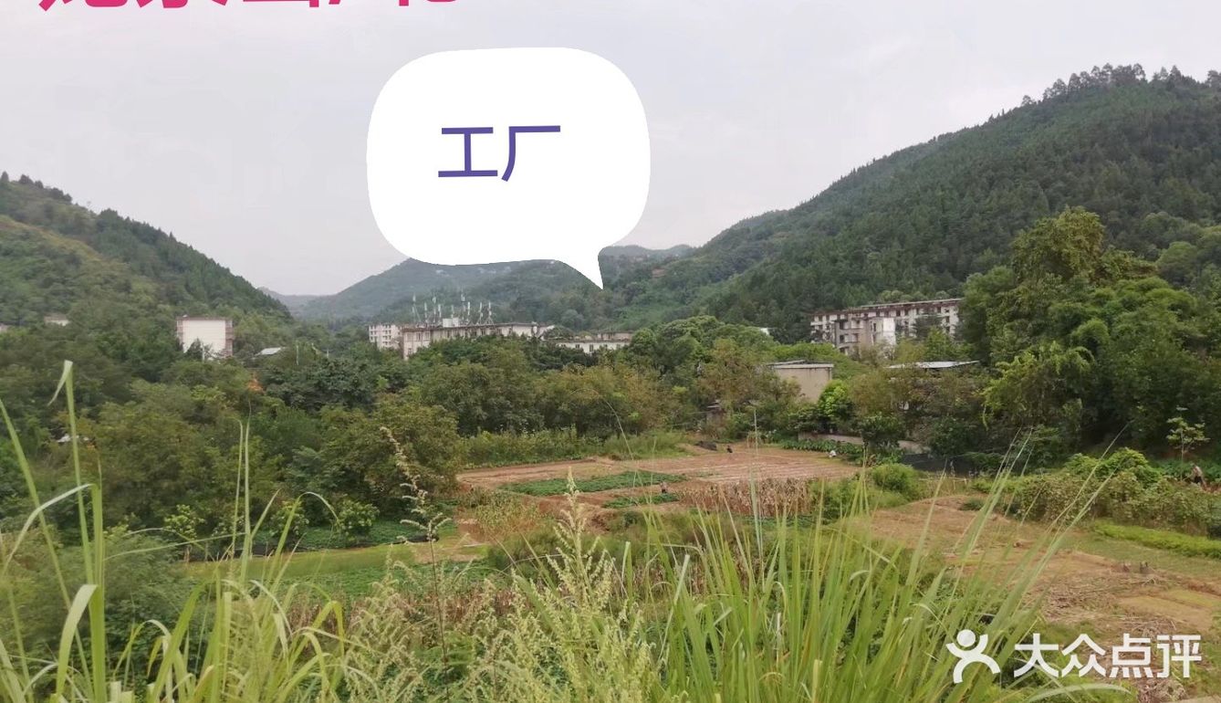 山里废弃的工厂【龙泉山北段，锅炉厂】