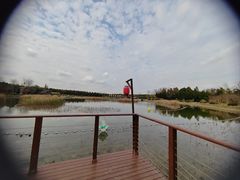 -东平国家森林公园
