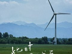 -野鸭湖国家湿地公园