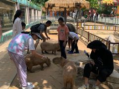 -西霞口神雕山野生动物世界