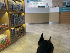 -美联众合动物医院·24h转诊中心