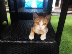 -Daddy Nimman Chiang Mai